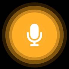 Voice Record HD