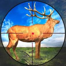 Wild Deer Hunting Games 2021