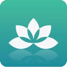 Yoga Studio: Poses & Classes