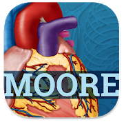 USMLE Clinical Anatomy Quiz