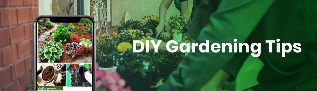 DIY Gardening Tips App