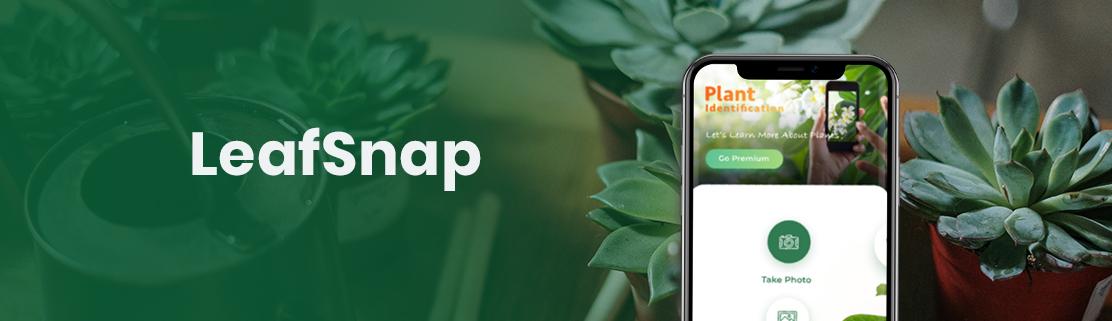 LeafSnap App