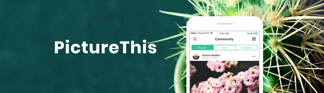 PictureThis Best Plant Identification App