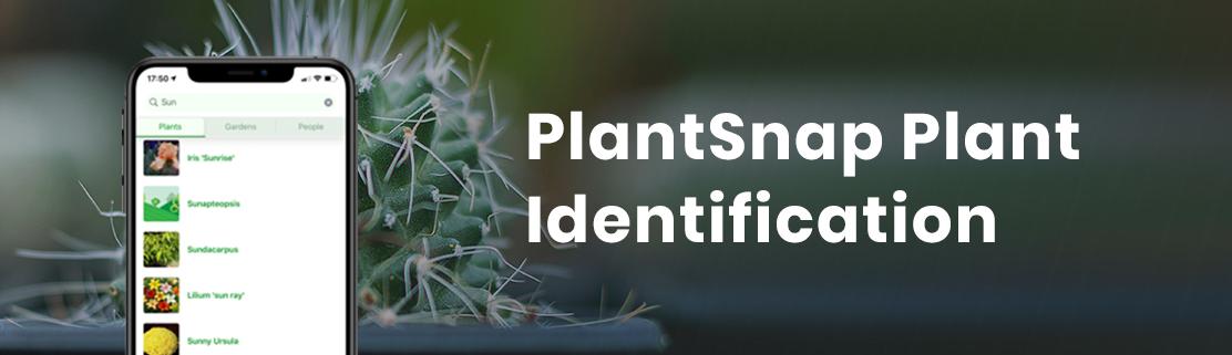 Plantsnap Free App