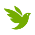 iNaturalist App Logo